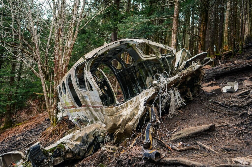 Abandoned aircraft wreckage deteriorating among forest trees.