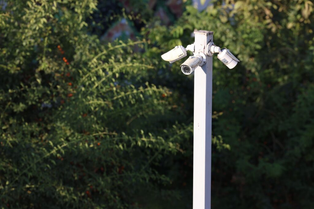 Cluster of outdoor surveillance cameras mounted among green foliage for public safety monitoring.