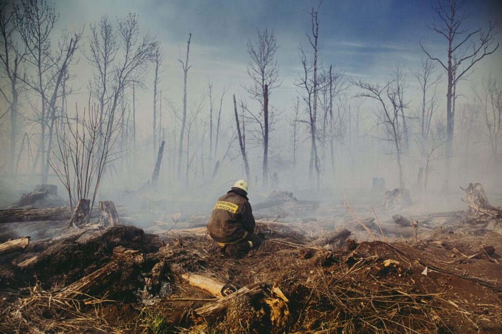 Firefighter sitting in smoky forest fire aftermath with charred trees.