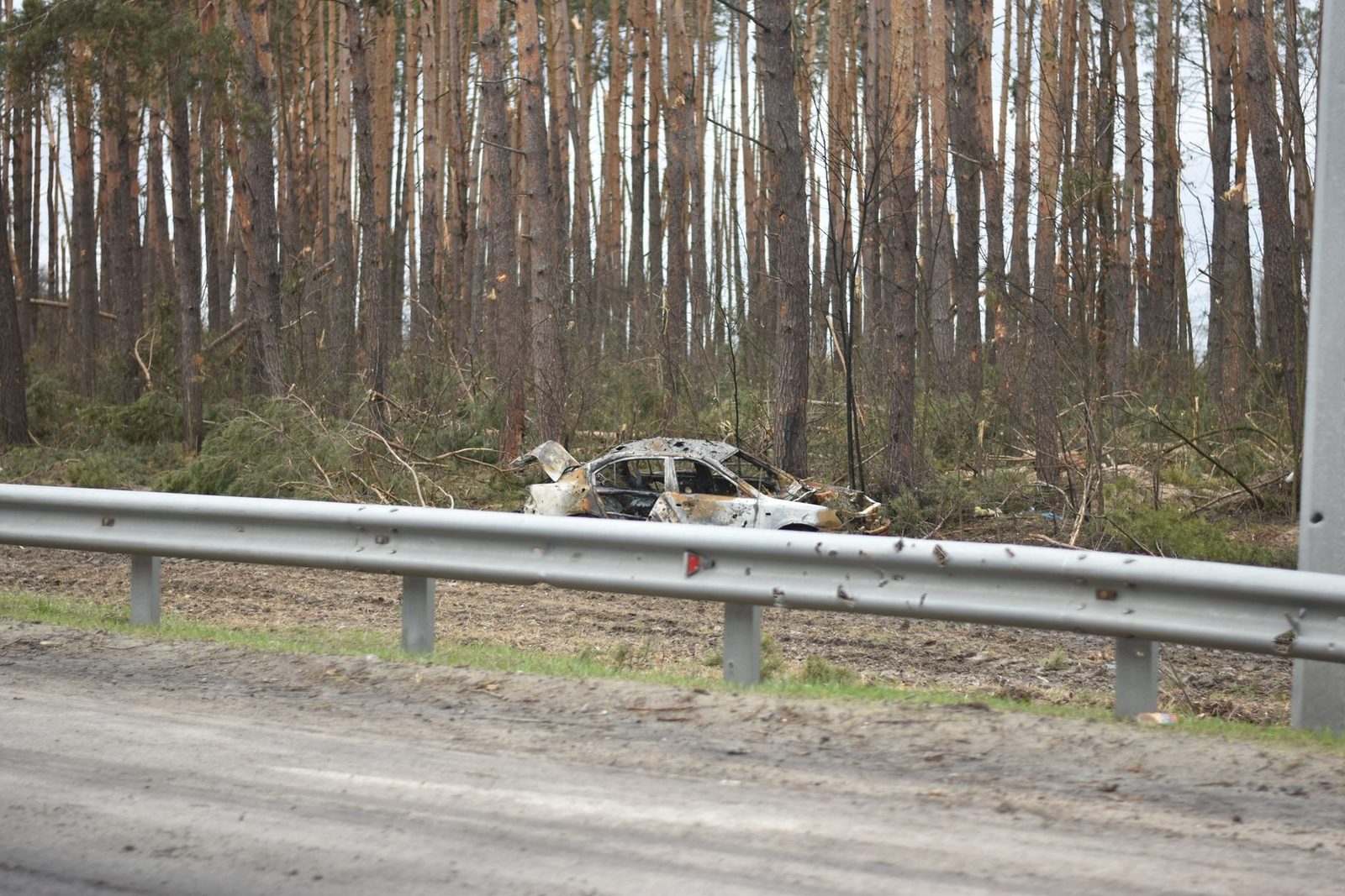 Burnt-out car wreck on forest road behind metal barrier.